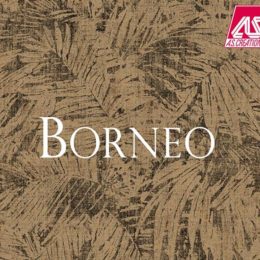 tapety-borneo
